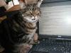 Attached Image: cassie2004.jpg