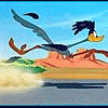 roadrunner